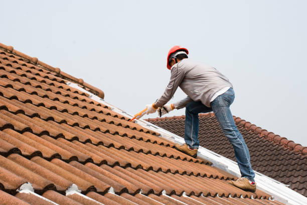 Roof Coating Services in Pine Island Center, FL